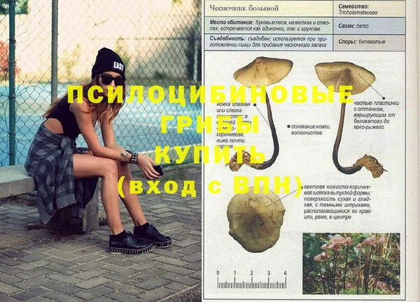 ECSTASY Хадыженск