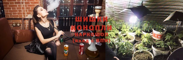 гидра Гусь-Хрустальный