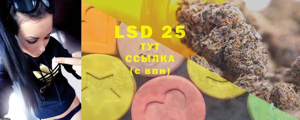 spice Гусиноозёрск