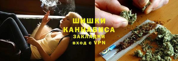 гидропоника Гусев