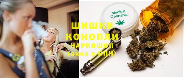 spice Гусиноозёрск