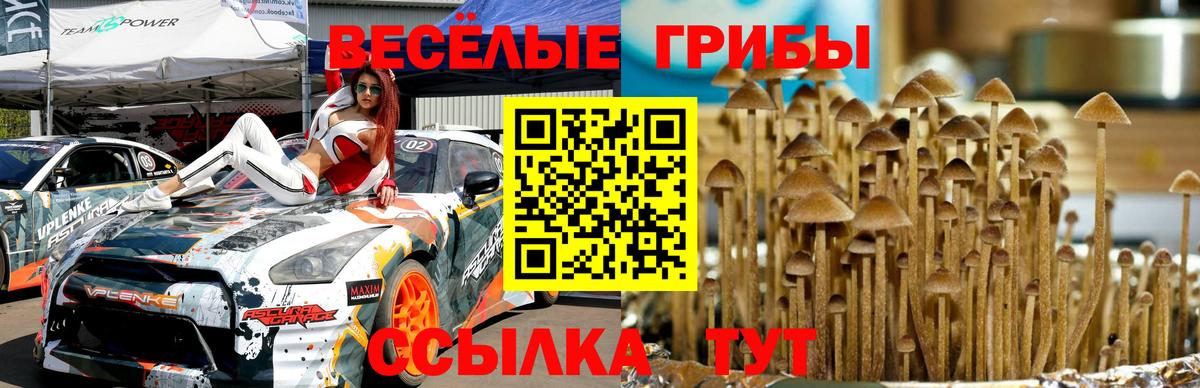 ЭКСТАЗИ  Гашиш  Губаха  Меф МЯУ МЯУ кристаллы  Бошки Шишки  Меф кристаллы  Cocaine 